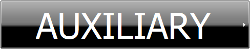 AUXILIARY